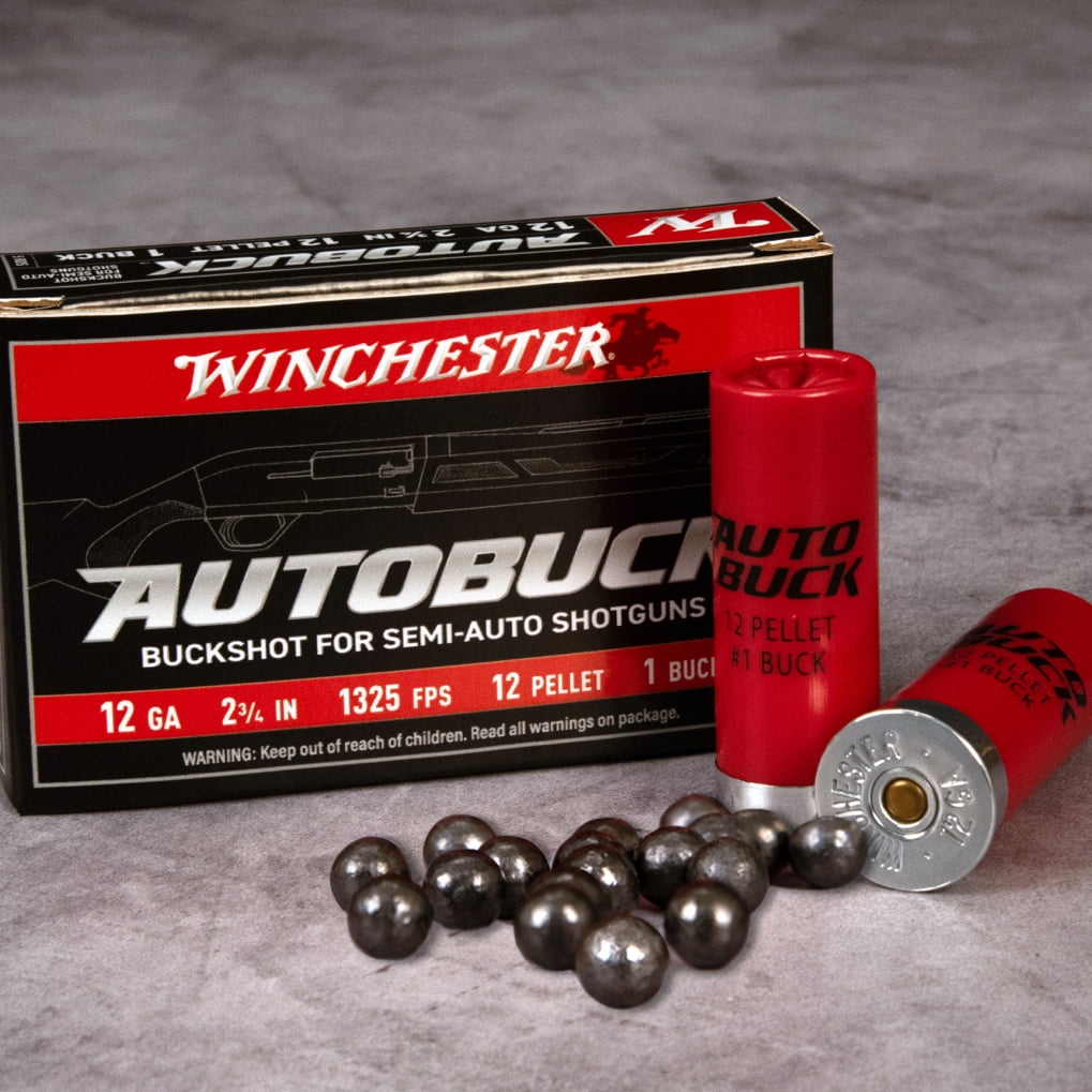 Winchester Autobuck ammunition box and shells