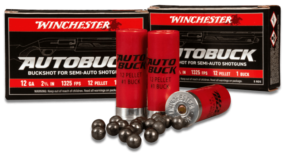 Winchester autobuck ammunition boxes and shells