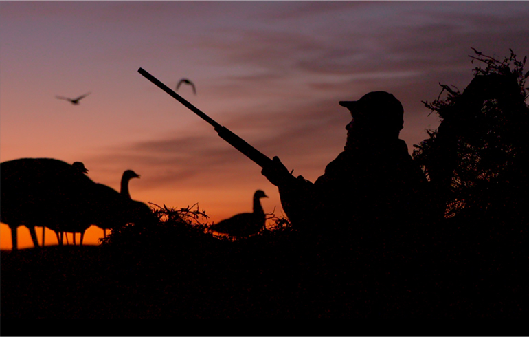 Tips to Make This Your Finest Waterfowl Season Ever