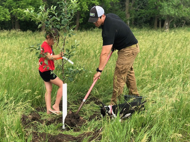 Plant Fruit Trees to Attract Deer