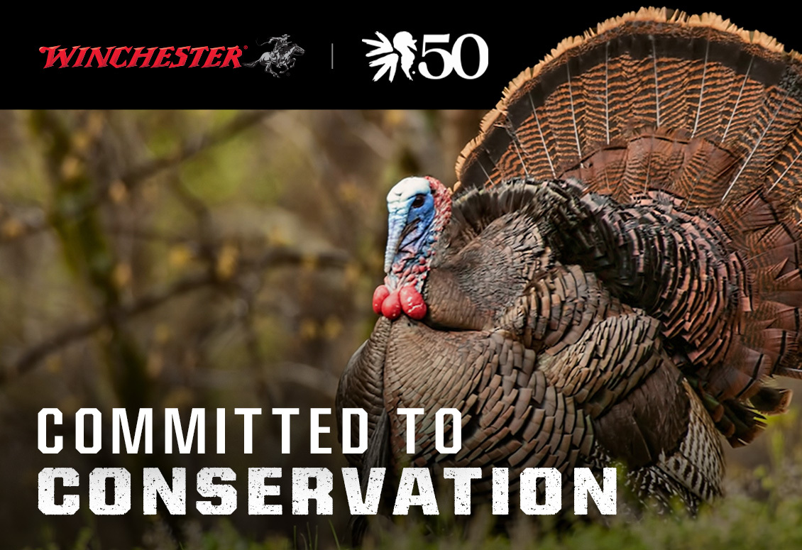 Winchester: Committed to Conservation